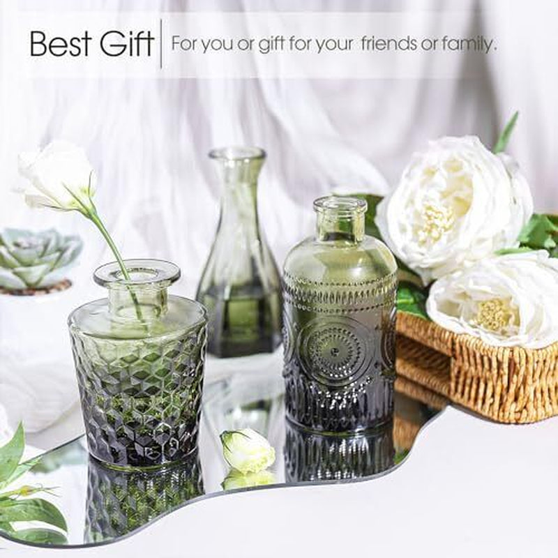 12Pcs Glass Bud Vases Set, Small Vases for Flowers Bud Vase for Green